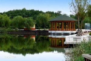 【11.6】这个周末去哪玩？家门口的“绿水青山”更适合遛娃~