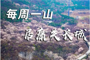 3.25/3.26 （周六/周日）【居庸关长城】|花期已至，登居庸关长城，看开往花海的列车