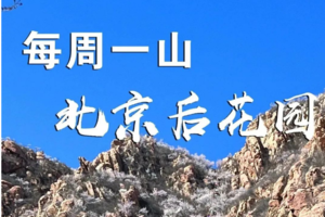 3.25/3.26 ·【赏花徒步白虎涧】| 春色正浓，在桃花烂漫的季节去北京后花园徒步，赏十里桃花！