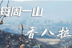 4.1/4.2（周六/周日）【香八拉】|（初级强度）经典徒步路线，休闲轻徒步，赏花踏青！