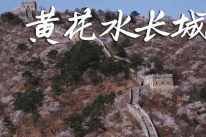4.5/4.8（清明假期/周六）【黄花水长城】| （休闲徒步）黄花水长城，花期已至，赏花踏青徒步长城
