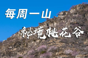 3.20/3.22（周一/周三）·【秘境桃花谷】 | 秘境桃花谷徒步赏花，穿越世外桃源