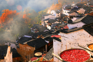 秋色皖南、多彩徽州 | 自驾皖南“川藏线”，篁岭晒秋，这里最美秋色已上线！