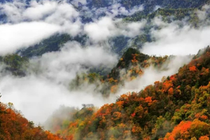 探秘秦岭秘境秋色，感受层林尽染（黄柏塬+大箭沟+光雾山米仓山+太洋公路+秦岭最美景观大道）