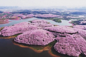 3.20-3.26 落地自驾 醉美贵州丨遇见“黔”山万水的春天