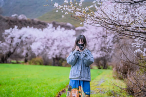 3月29日 藏地花开｜赴林芝桃花之约·圣地莲花墨脱·川进青出15天14晚自驾游