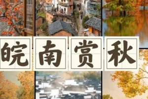 11月8-15日 皖南赏秋 | 《国家地理》唯一认证的皖南秋色，错过就要再等一年！