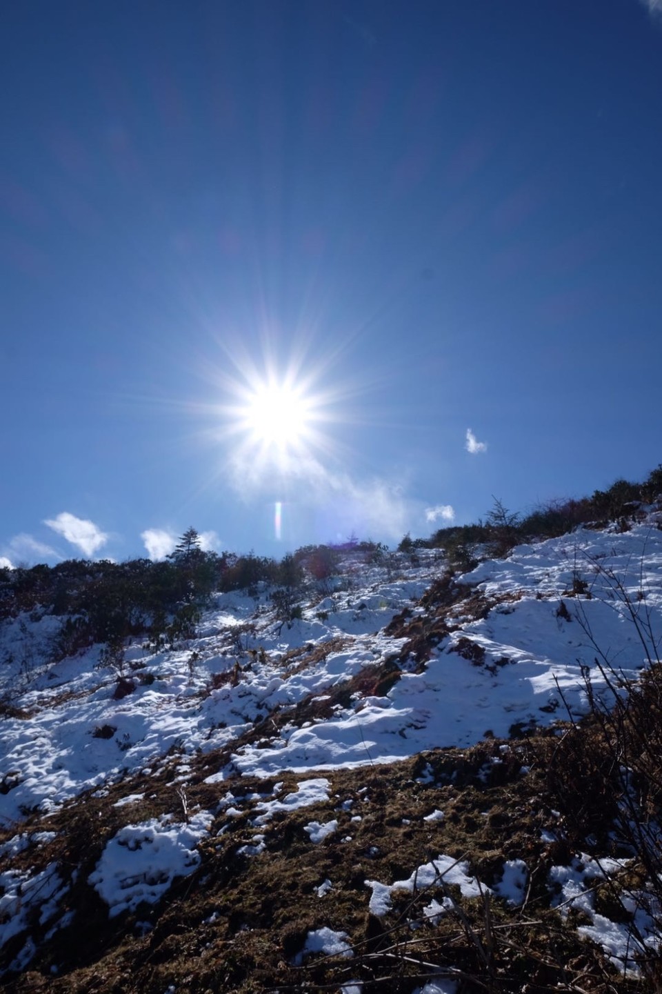 4BB73979-AAAC-4FF5-93E8-B2DC2829A5B7-715-0000009E66417446_tmp