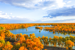 【金色南疆9日】6人小车团，罗布人村寨+塔里木胡杨、石头城&金草滩、瓦罕走廊、盘龙古道、班迪尔蓝湖、喀拉库勒湖