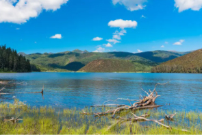 【一路向北7日】大理双廊-洱海旅拍-喜洲-S弯骑行-沙溪-虎跳峡-白水台-普达措-松赞林寺-纳帕海-丽江-泸沽湖7日游