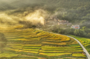 特惠98元【从化寻秋1天，广佛出发】“小婺源”桂峰村赏金黄柿子；打卡广州