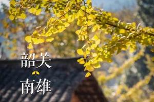  特惠298【南雄银杏+温泉酒店2天，广佛出发】旅拍南雄银杏之乡，网红打卡时光隧道，南华寺祈福，入住汤溪温泉酒店2天