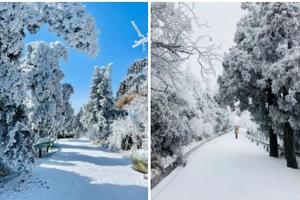 元旦【冰雪衡山3天，广佛出发】1-1出发，赏南岳衡山雾淞冰雪奇观，行摄高椅岭，登祝融峰顶祈福！