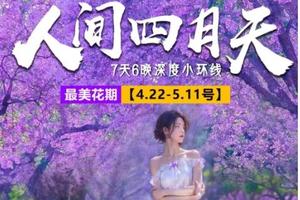 【人间四月天7日】西昌双城蓝花楹、元谋土林、黑井古镇、攀枝花凤凰花、邛海公园、大石板村、九十九里温泉瀑布、七里坝杜鹃花海