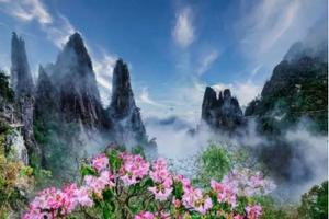 五一【湘粤莽山3天，广佛出发】 大美莽山、碧水丹霞高椅岭、瑶族博物馆、万山朝王、油岭瑶寨