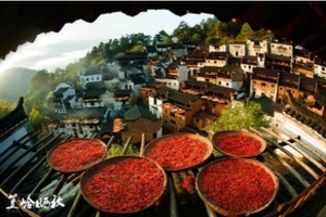 【秋韵徽州4日】篁岭晒秋+石城秋色+水墨宏村+塔川秋色+奇墅湖+碧山书局