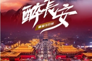 【醉长安5日】兵马俑-大唐不夜城-华山-明城墙-大明宫-回民街-乾陵-袁家村5日轻奢游！