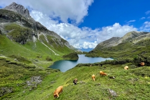 【南极洛徒步5日】南极洛+飞来寺+阿布吉措5天4晚秘境之旅