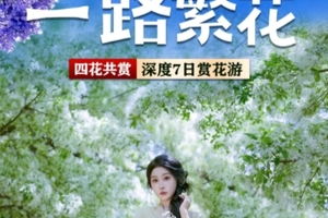 【一路繁花7日】丽江、鹤庆西龙潭、桑岭村流苏花雨、剑川古城、兰坪罗古箐、马象公路杜鹃花海、秘境哀牢山、易门绿汁镇凤凰花