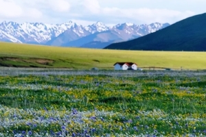 【九寨甘南7日】闯入甘南的“小西藏”，感受来去自由的风~