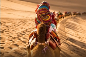 梦幻·丝路传奇大巴团 | 深度纯玩8天7晚丨2025经典丝路环线，兰州起西宁止，网红景点