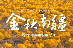 【童话新疆·金秋南疆9日】罗布人村寨、塔里木胡杨林、库车老城、喀什古城、盘龙古道、石头城&金草滩、胡杨林特辑