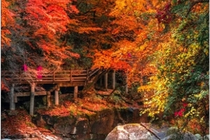 【遇见光雾山·秦巴摄影6日】