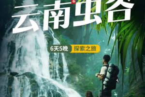 【云南虫谷6日】哀牢山秘境徒步，云南虫谷原型+西双版纳热带雨林+普洱太阳河森林公园，6天5晚探索之旅