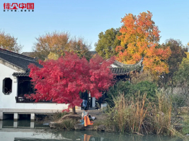 【徒个中国·江苏6日】11.23~28日，南京栖霞山赏秋，太湖徒步