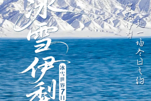 【冰雪伊犁7日】小车团·“喀纳斯+禾木+白哈巴”+漫游赛里木湖，邂逅冰雪伊犁7日