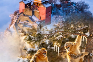 【雪遇神武襄·仙山问道6日】宜昌+神农架+武当山+襄阳6日私家小团