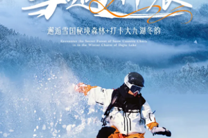 【雪遇神农4日】邂逅雪国秘境森林+打卡大九湖冬韵，神农架4天3晚轻奢滑雪VIP小团