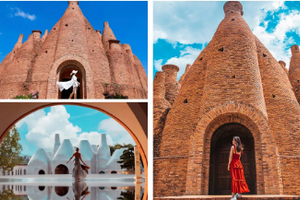 【春花哀牢山5日】云南虫谷-哀牢山-元阳梯田-阿者科-弥勒东风韵-罗平油菜花-九龙瀑布-花田小火车5日游