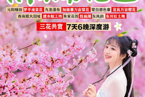 【滇东南花色7日】元阳梯田-罗平油菜花-九龙瀑布-加级寨万亩梨花-万亩樱花-蒙自碧色寨-石屏古城-异龙湖-建水蚁工坊