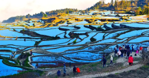 【云南之南7日】昆明-抚仙湖-建水-滇越小火车-元阳梯田-普洱-太阳河森林公园-曼听公园-总佛寺-野象谷-中科院