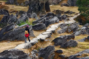 【梅子坪古道，佛山出发】打卡广东版墨石公园，徒步千年古道，深入喀斯特峰林，体会山村徒步乐趣！