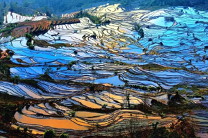 【滇东南之春7日】元阳梯田-罗平油菜花-九龙瀑布-坝美-普者黑-东风韵-弥勒-建水-屏边滴水苗城-大围山-人字桥