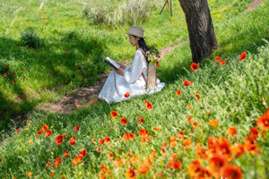 【新疆·天山红花 7日】 S101网红国防公路+天山红花+苹果花+赛里木湖+库尔德宁，2-6人小团