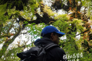 【秘境高黎贡5日】高黎贡山-毛毛球森林-玉璧古道-打鹰山5日