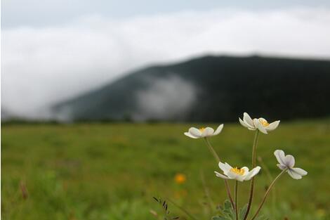 重点户外7月1至2日天华山东梁两日露营