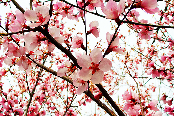 001aa0bab90b10c26c8947