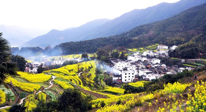 135806mbxmih9xvzvq6iip