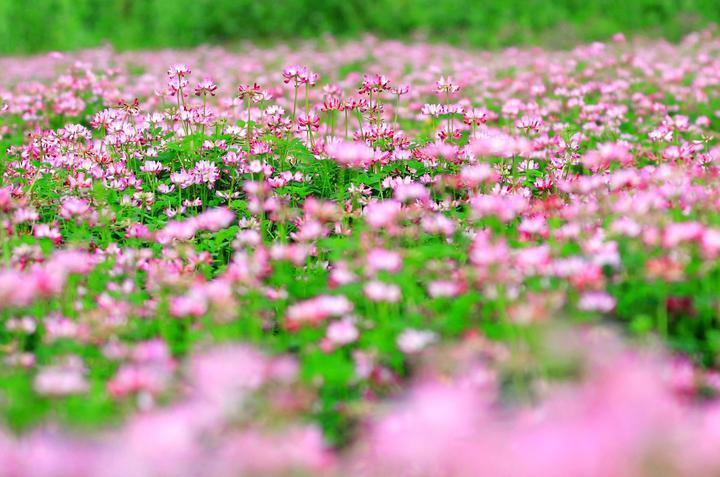 135816eqpeqrbgog1gsrgu