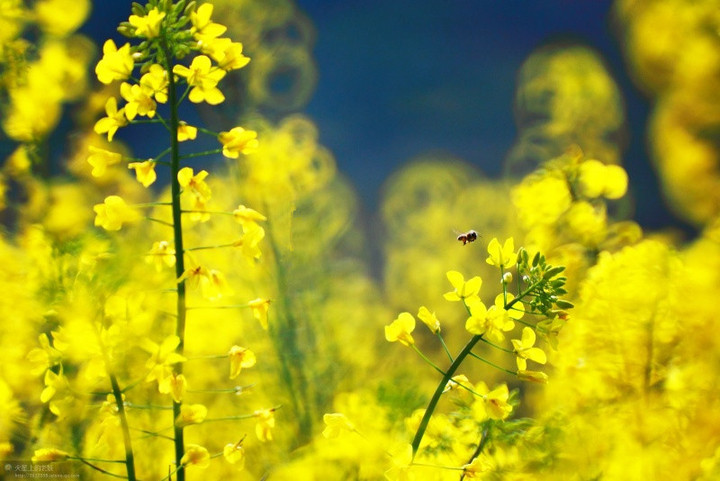 135829q0ldl4zy4ugqw6dl