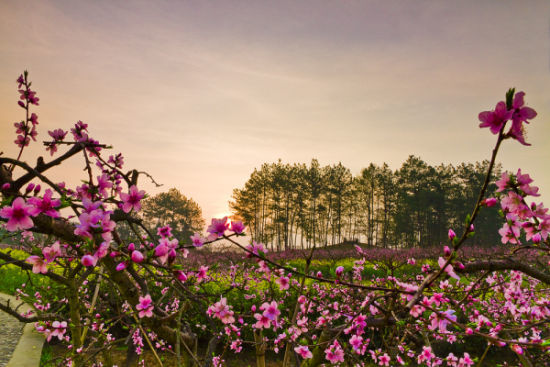 U7681P1276DT20130306110235