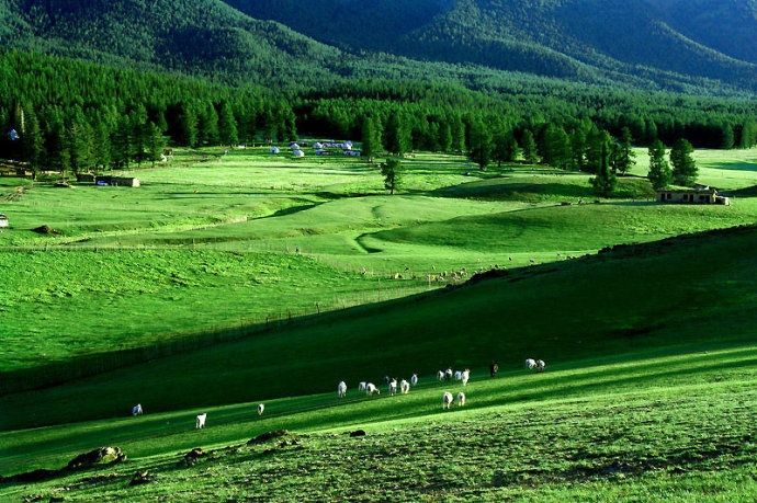 a2f2015ahc9a953730786&690