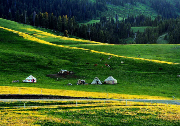 a2f2015ahc9aa966e8710&690