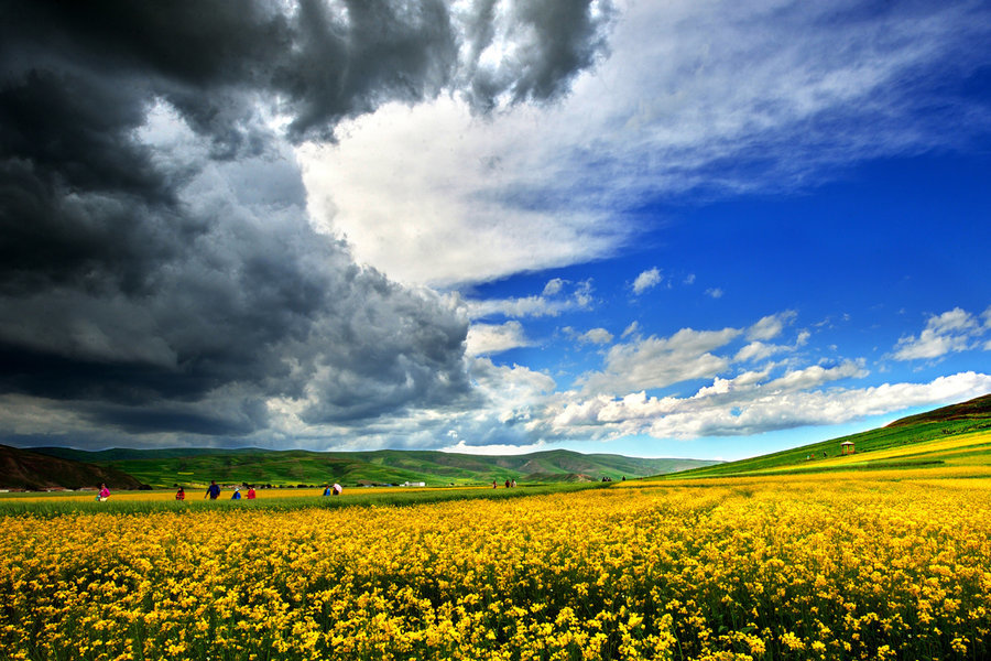 40706643_40706643_1415440845104_mthumb