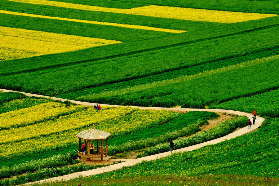 40706643_40706643_1415440852792_mthumb