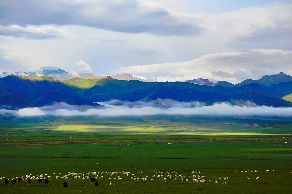 ChMkJ1f1yHSIQlAAAAQY0qpOyX8AAWnwgFScN4ABBjq283